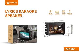 PEINING - CAIXA DE SOM COM 2 MICROFONE E TELA PARA KARAOKE - PEI-KVS01